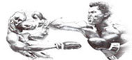 Boxingvideo.ru: профессиональный бокс, видео, фильмы, dvd, записи боксерских поединков, новости бокса